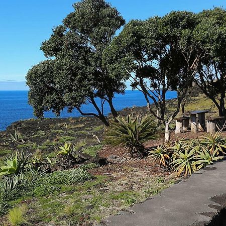 Casa D'Avo Francisco Guest House Madalena  Luaran gambar