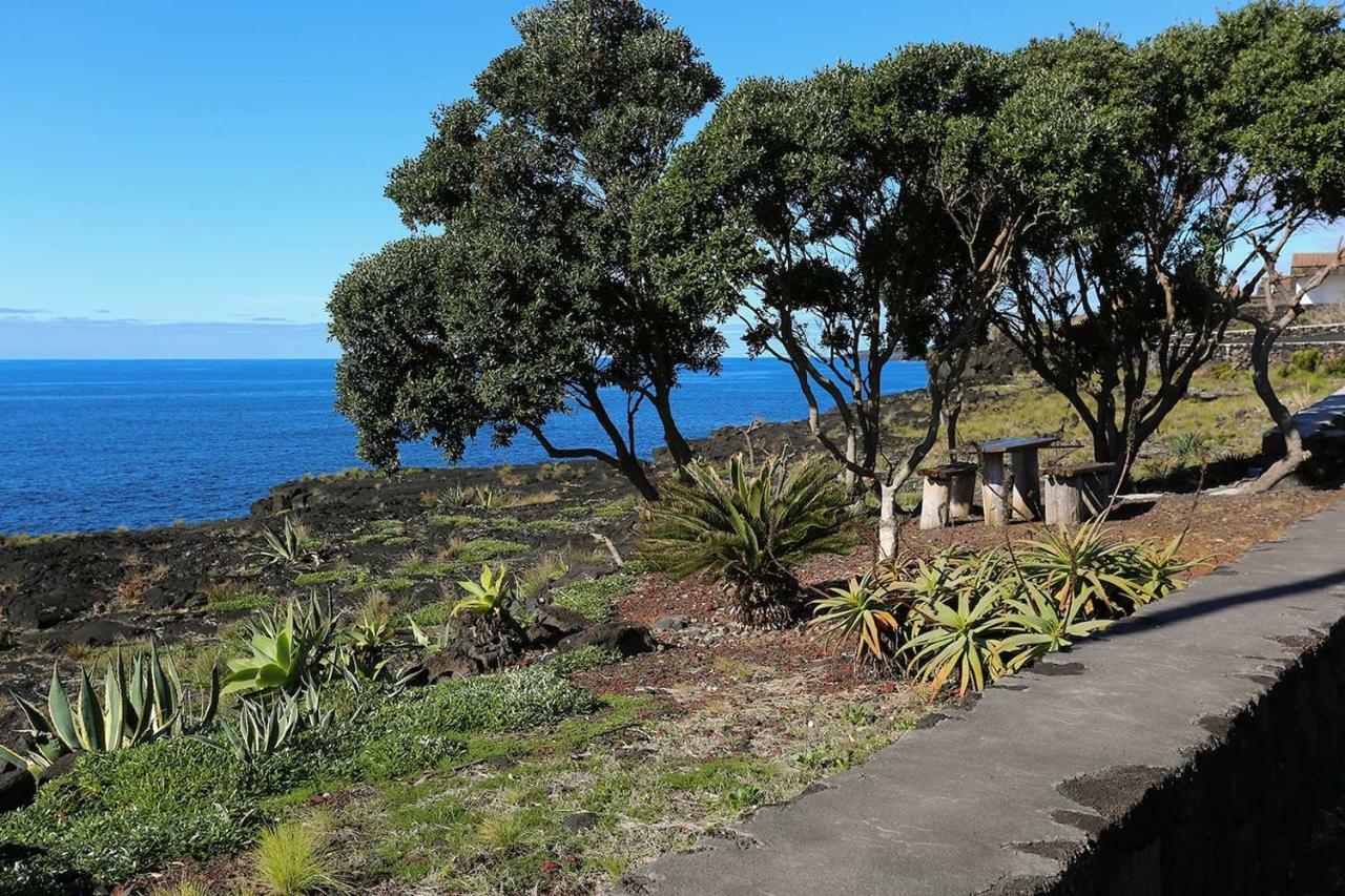 Casa D'Avo Francisco Guest House Madalena  Luaran gambar