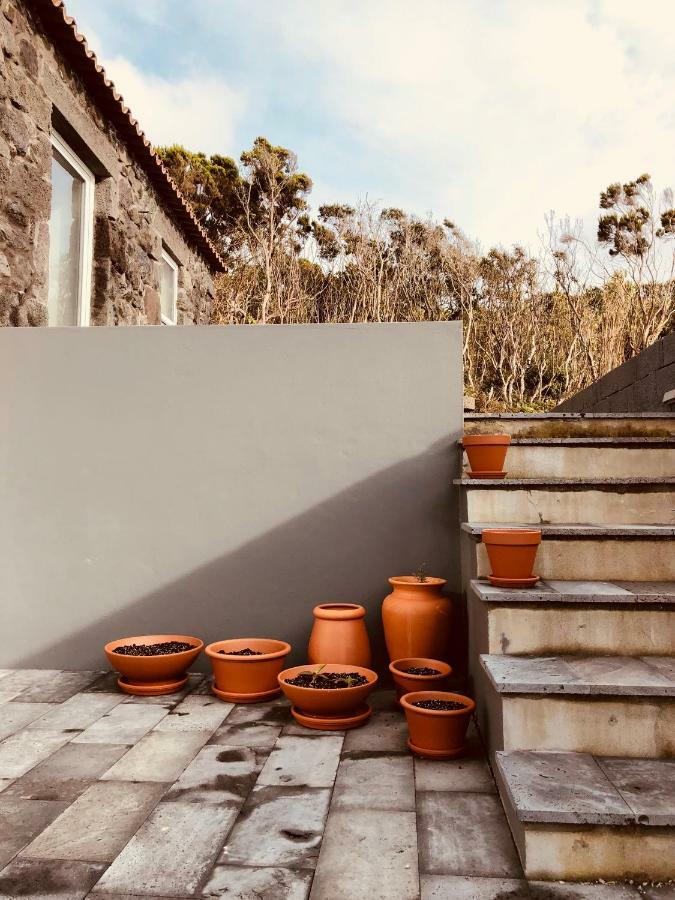 Casa D'Avo Francisco Guest House Madalena  Luaran gambar